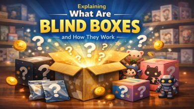 Explaining What Are Blind Boxes and How They Work